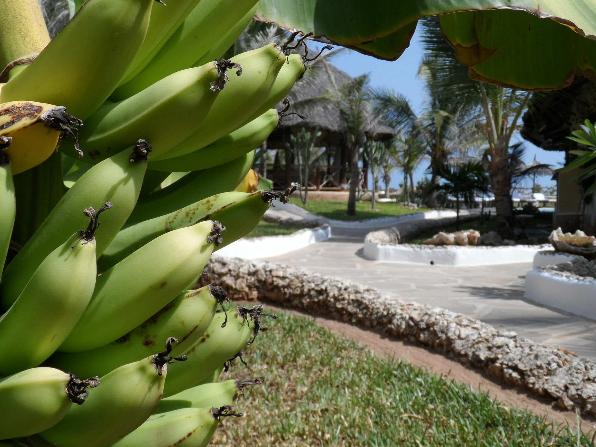 Mawe Resort Watamu Boutique Hotel Exterior foto